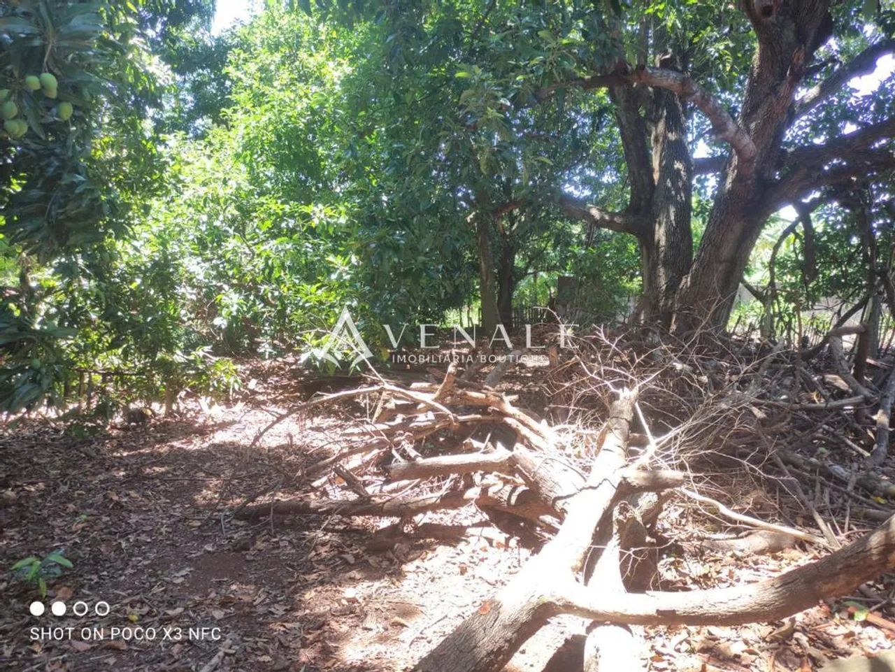 Terreno à venda em Maringá, Vila Morangueira, com 1425 m² - Foto 2