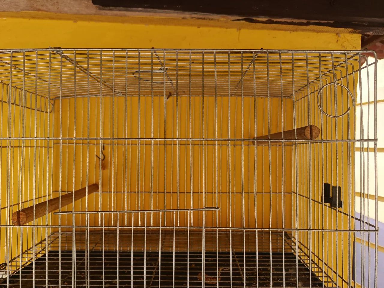 Gaiola seminova - Foto 2