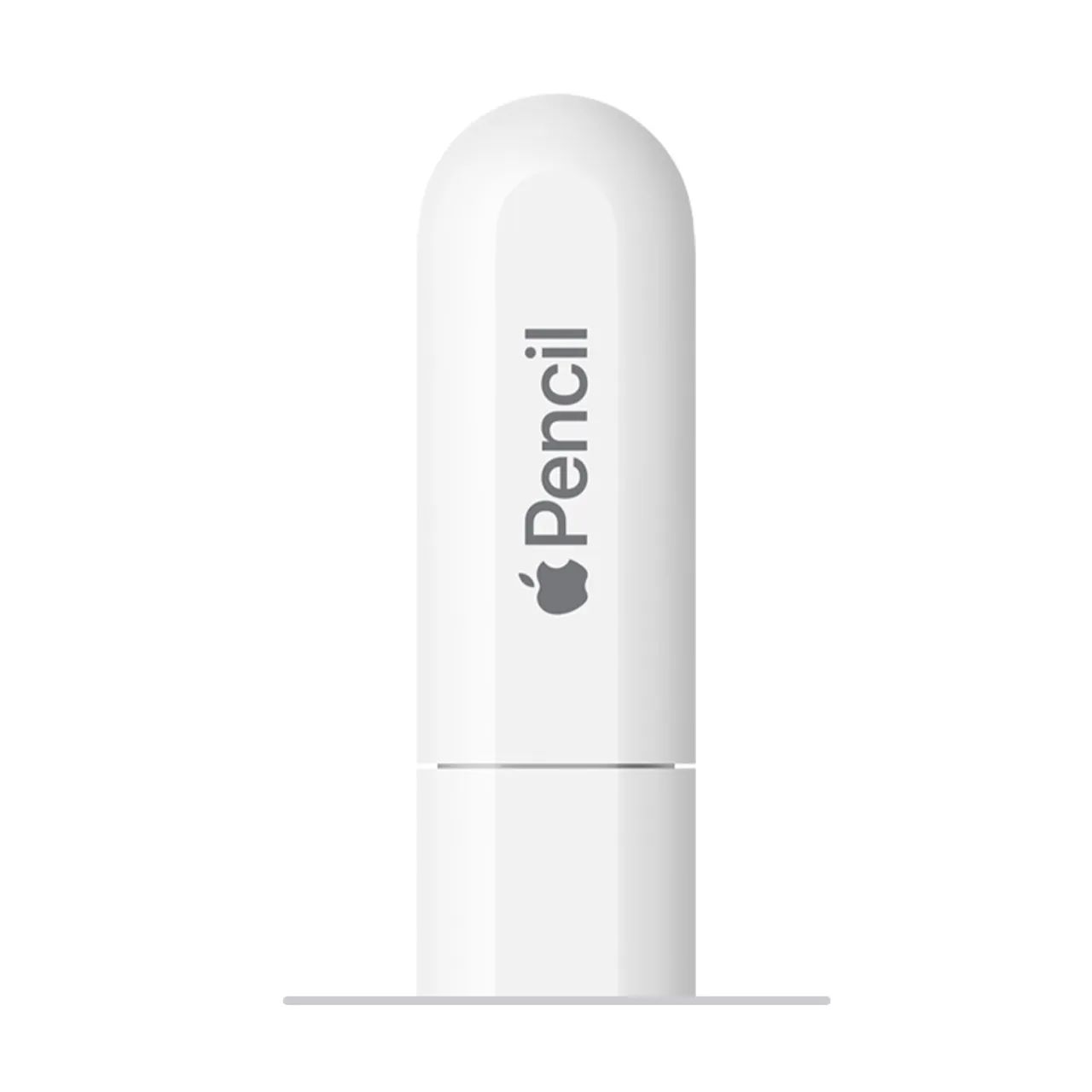 Apple Pencil USB-C Original - Apenas 2 meses de uso (Impecável