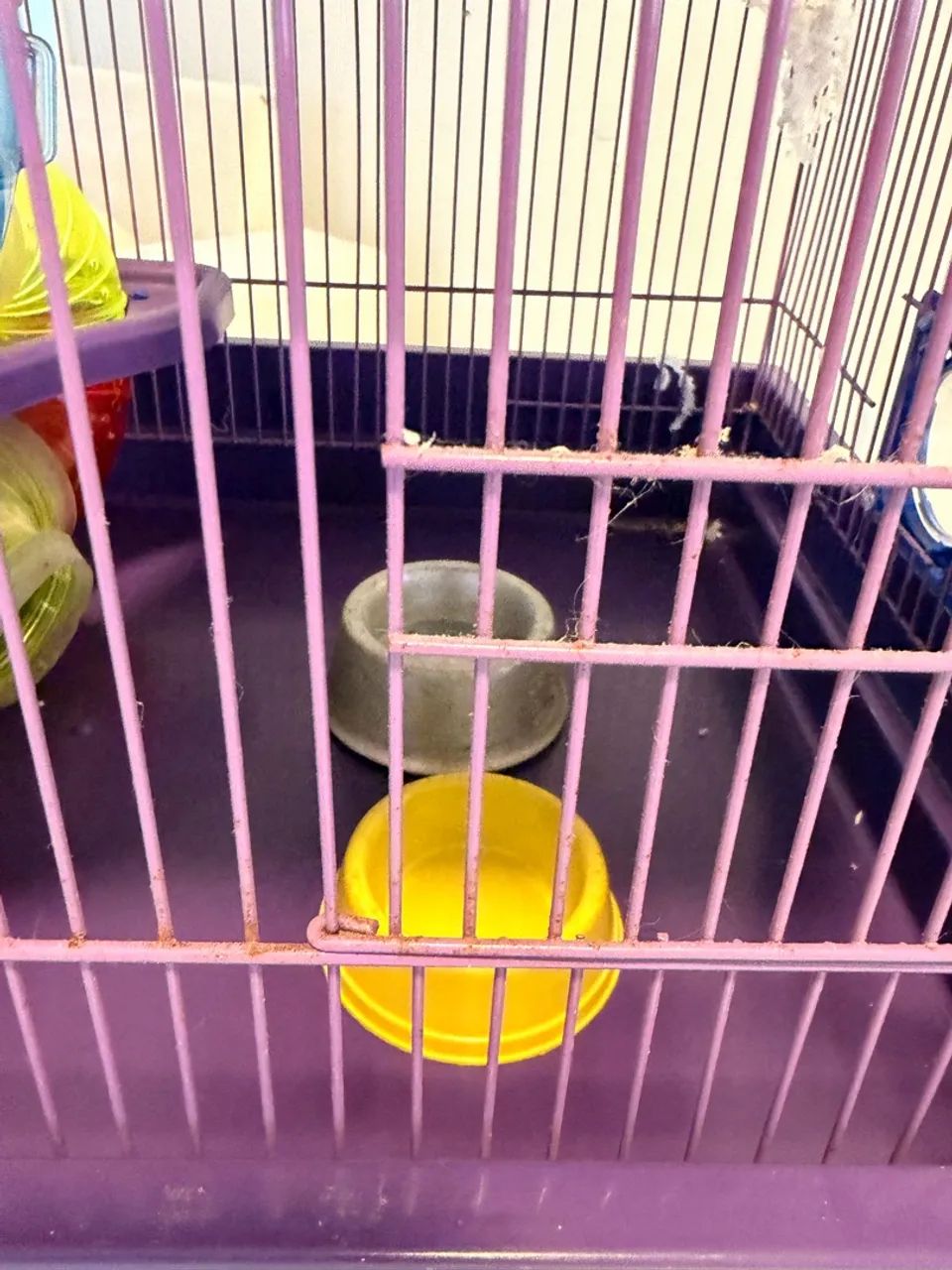 Gaiola para Hamster completa!  - Foto 4