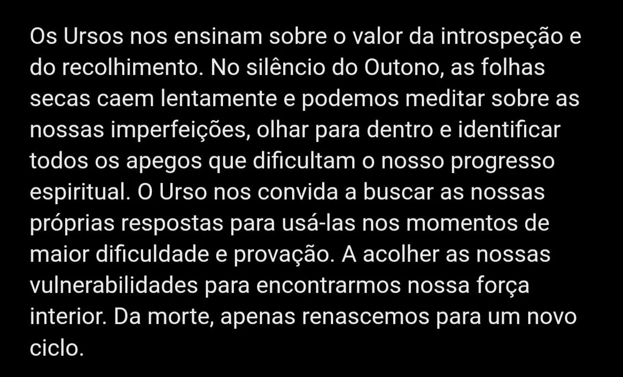 Kuripe Artesanal, animal de poder URSO  - Foto 3