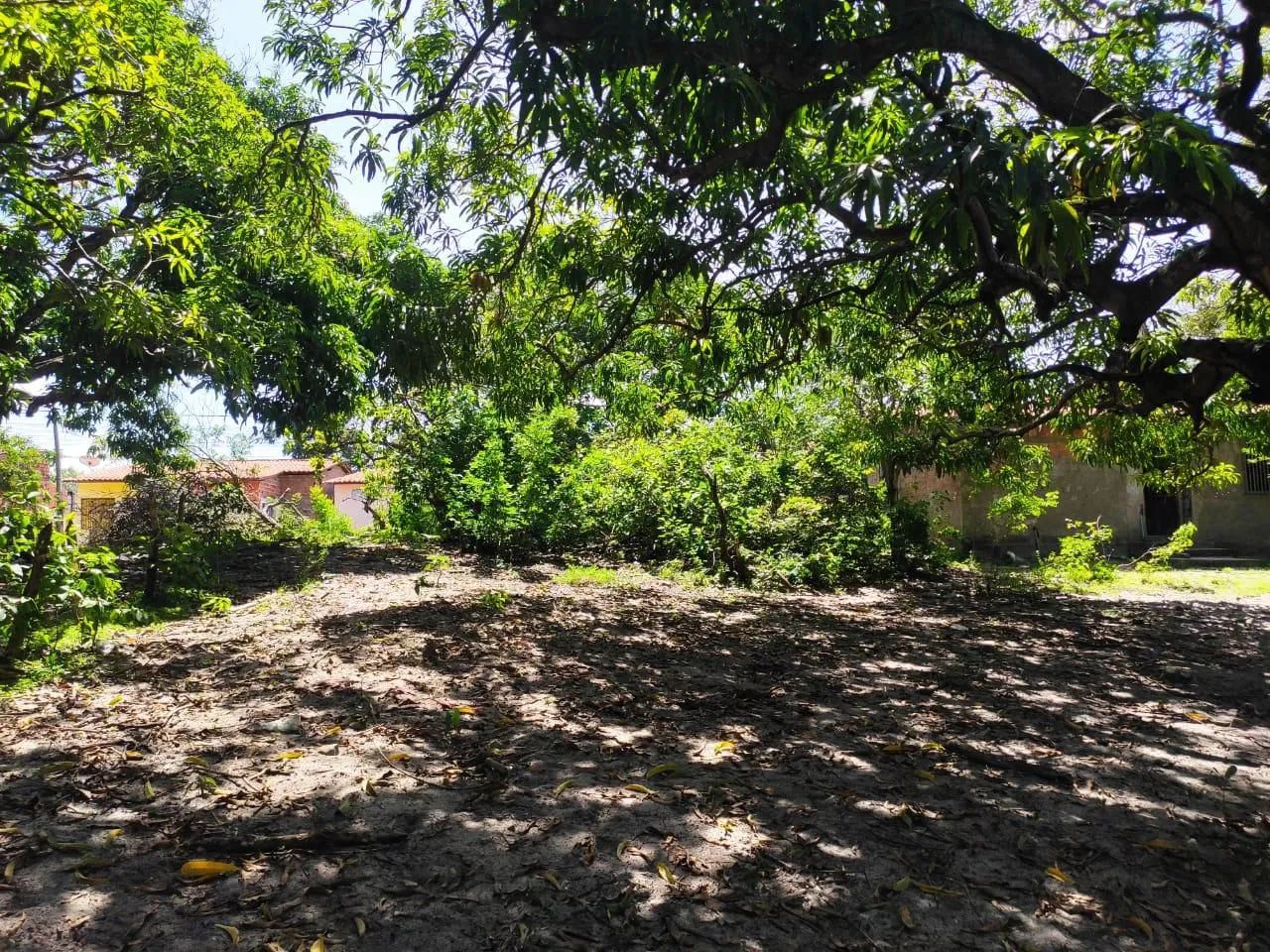 Terreno em Santo Amaro / Ma . Atins  - Foto 3