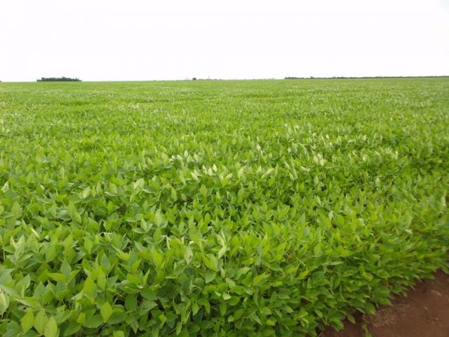 Fazenda rural à venda, 121 alqueires - Goioerê.