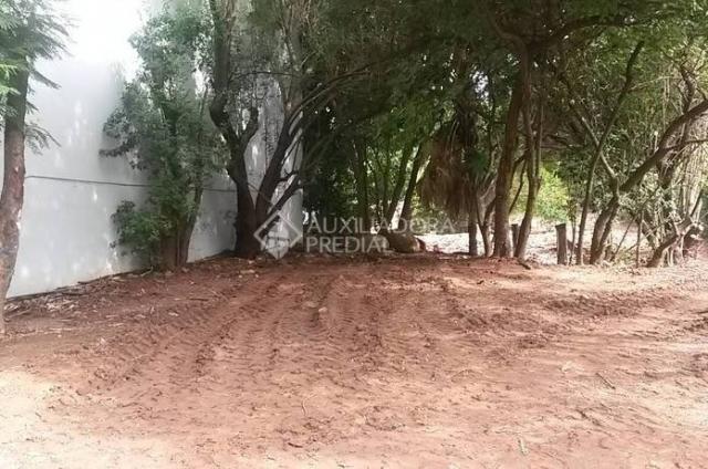 Terreno para alugar em Tristeza, Porto alegre cod:227483 - Foto 8