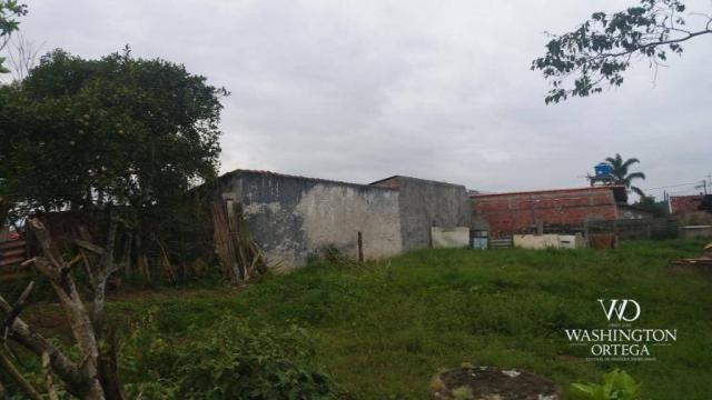 Terreno à venda, 1062 m² por r$ 450.000,00 - borda do campo - são josé dos pinhais/pr - Foto 11