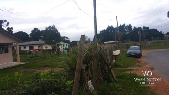 Terreno à venda, 1062 m² por r$ 450.000,00 - borda do campo - são josé dos pinhais/pr - Foto 12