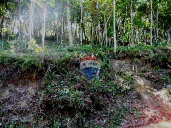 Terreno residencial à venda, Fazenda Boa Fé, Teresópolis. - Foto 13