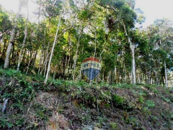 Terreno residencial à venda, Fazenda Boa Fé, Teresópolis. - Foto 6