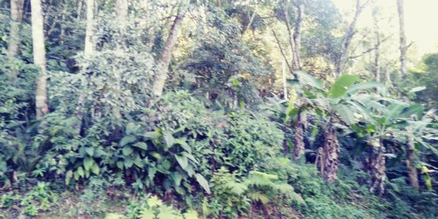 Chácara em Camboriú, local elevado, fácil acesso por Brusque, ideal para lazer - Foto 3