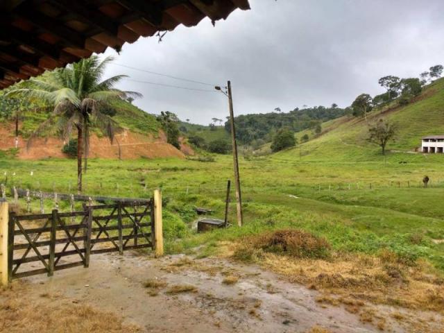Fazenda para venda em maraial, maraial