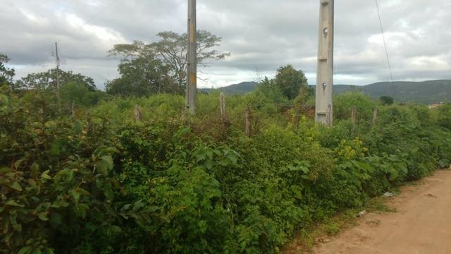 Excelente Propriedade em Belo Jardim, 7,5 hectares - Foto 5