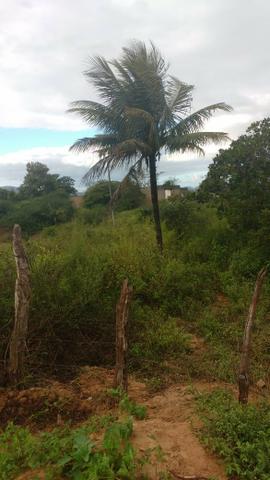 Excelente Propriedade em Belo Jardim, 7,5 hectares - Foto 14