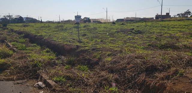 Vende-se excelente lote no Iete Maia/Macaia-MG - Foto 4