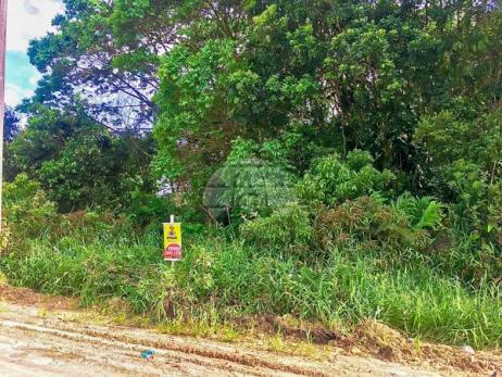 Terreno à venda em Balneário volta ao mundo i, Itapoá cod:155863 - Foto 7
