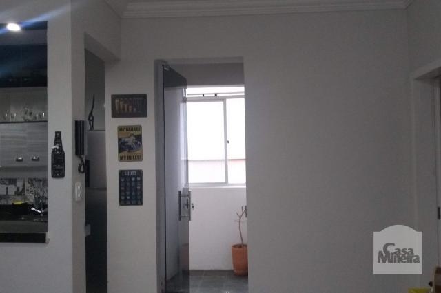 Apartamento à venda com 2 dormitórios em Alto barroca, Belo horizonte cod:257722 - Foto 7