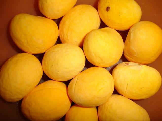 Mudas do pequi goiano carnudo * - Foto 5