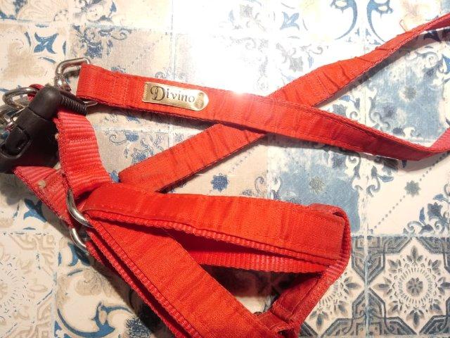 Guia e peitoral para pets - Tamanho M