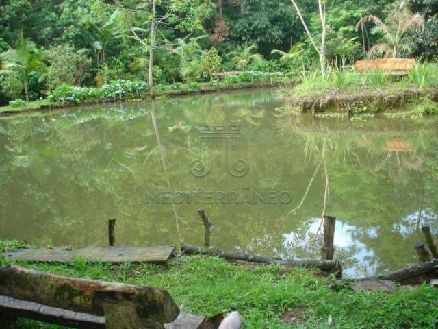 Sítio para alugar em Santa clara, Jundiai cod:L4831 - Foto 13
