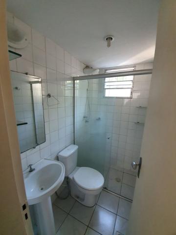 Apartamento de 02 quartos, 01 garagem demarcada - isento iptu no jardim américa!! - Foto 15