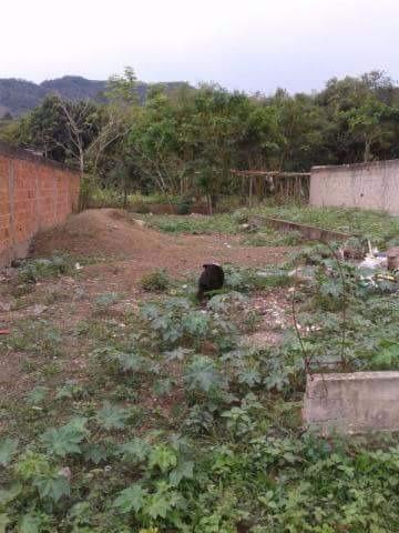 Otimo terreno no Rio da Prata de Campo Grande - Foto 4