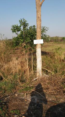 Terreno Chácara Urbano - Foto 4