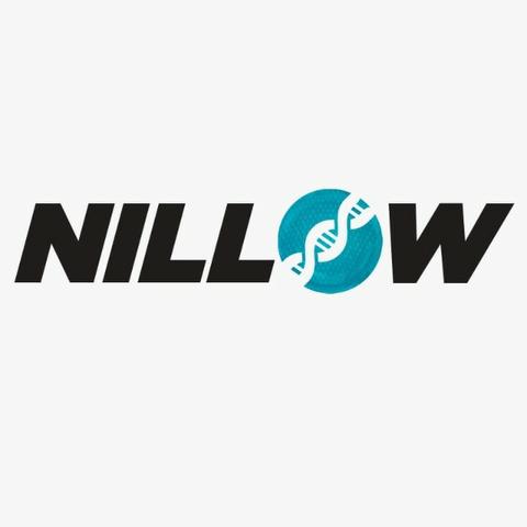 Nillow - Criação de Sites