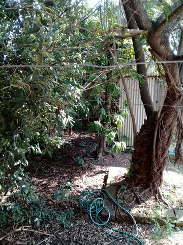Casa a 2km centro Viamao - Foto 6