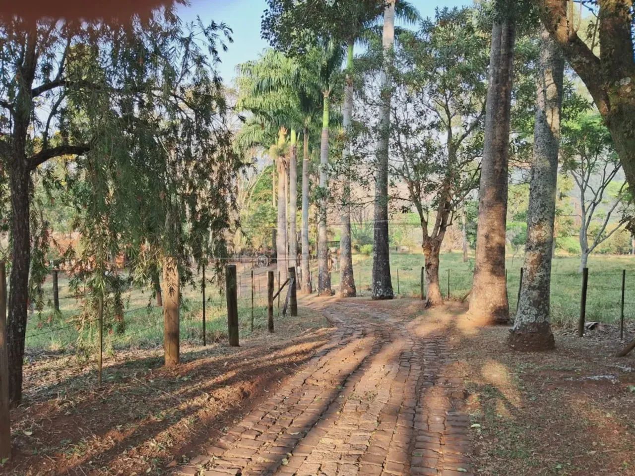 Rural Chácara com Condomínio em São Carlos - Foto 5