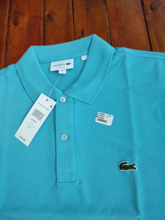 Polo Lacoste original 