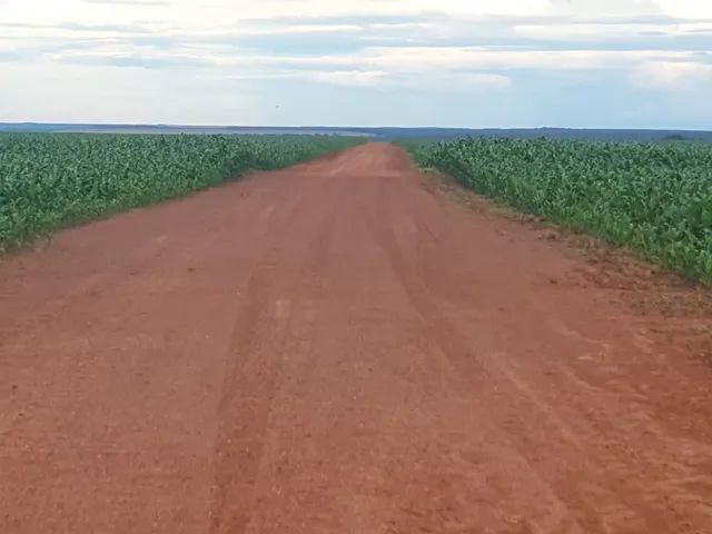 Fazenda em Campos De Júlio-MT - Foto 3