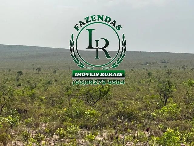 Fazenda 317 alqueires Plana - Foto 4