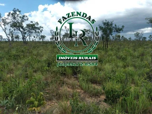 Fazenda 317 alqueires Plana - Foto 2