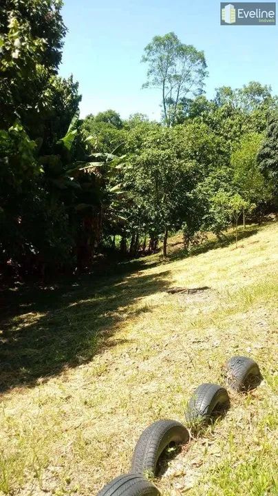 Chácara com 4 dorms, Sabaúna, Mogi das Cruzes - R$ 450 mil, Cod: 1781 - Foto 5