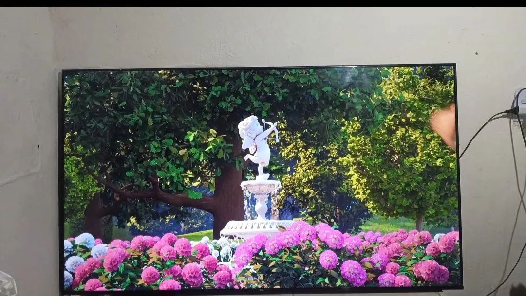 TCL 65-inch TV64294911053315120