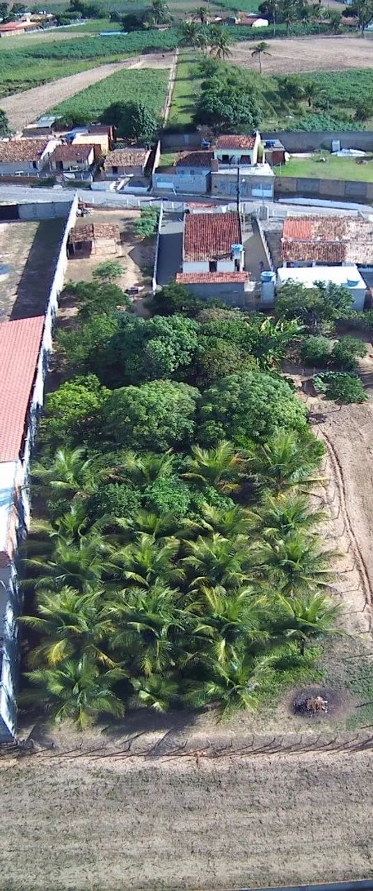 Sítio no povoado brejo em lagarto-se