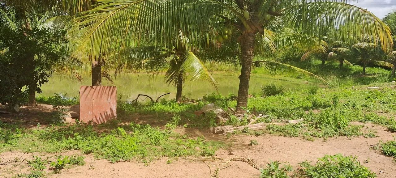 Acampamento em área verde com lago
