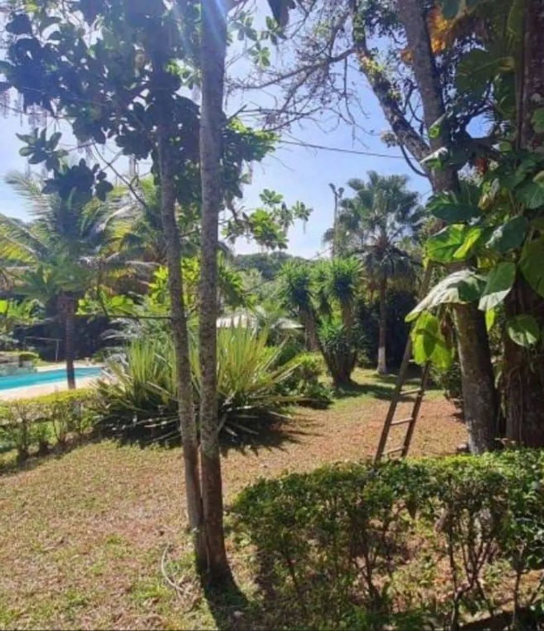 Vendo sítio em  Lagoa  Santa 5.000 m² - Foto 4