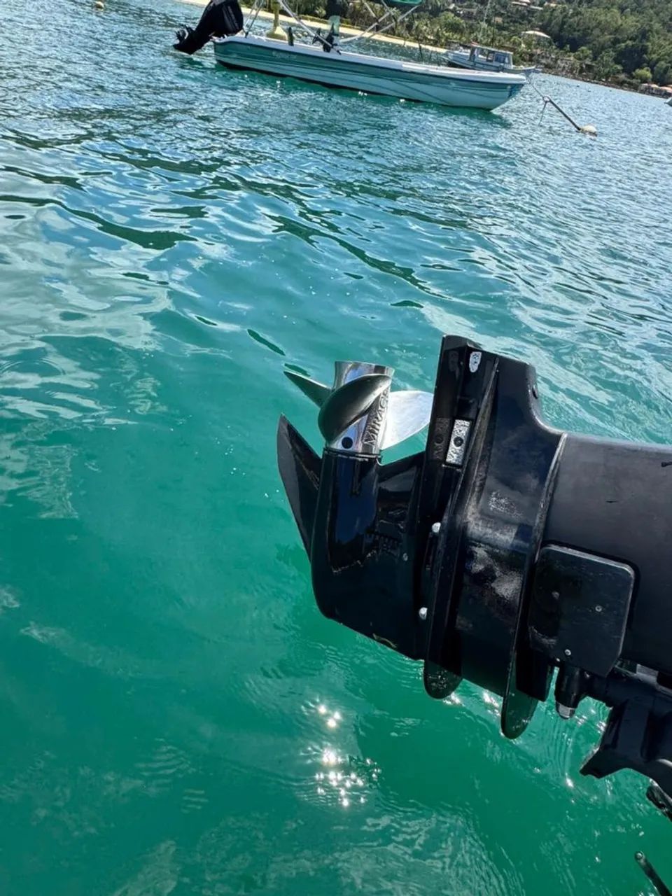 MOTOR NAUTICO OPTMAX 225 - Foto 8