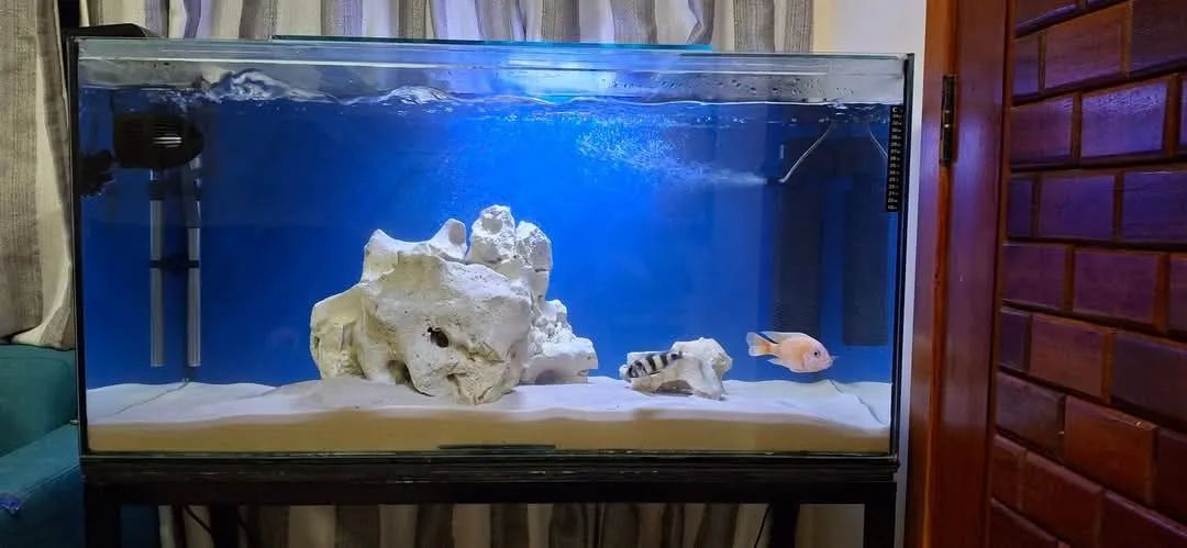 Aquário 200 litros COMPLETO