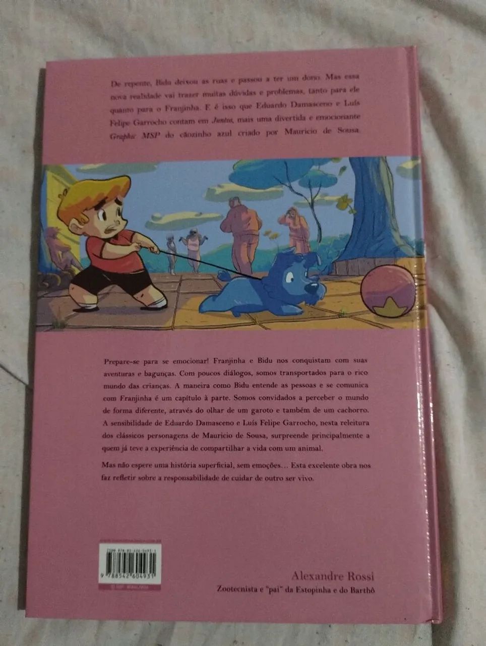 Bidu Juntos - HQ Graphic MSP - Foto 3