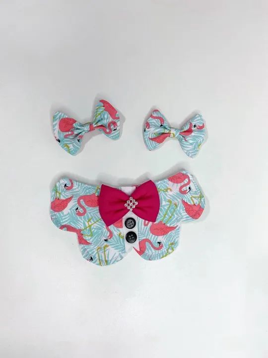 Acessórios Para Pets - Foto 3