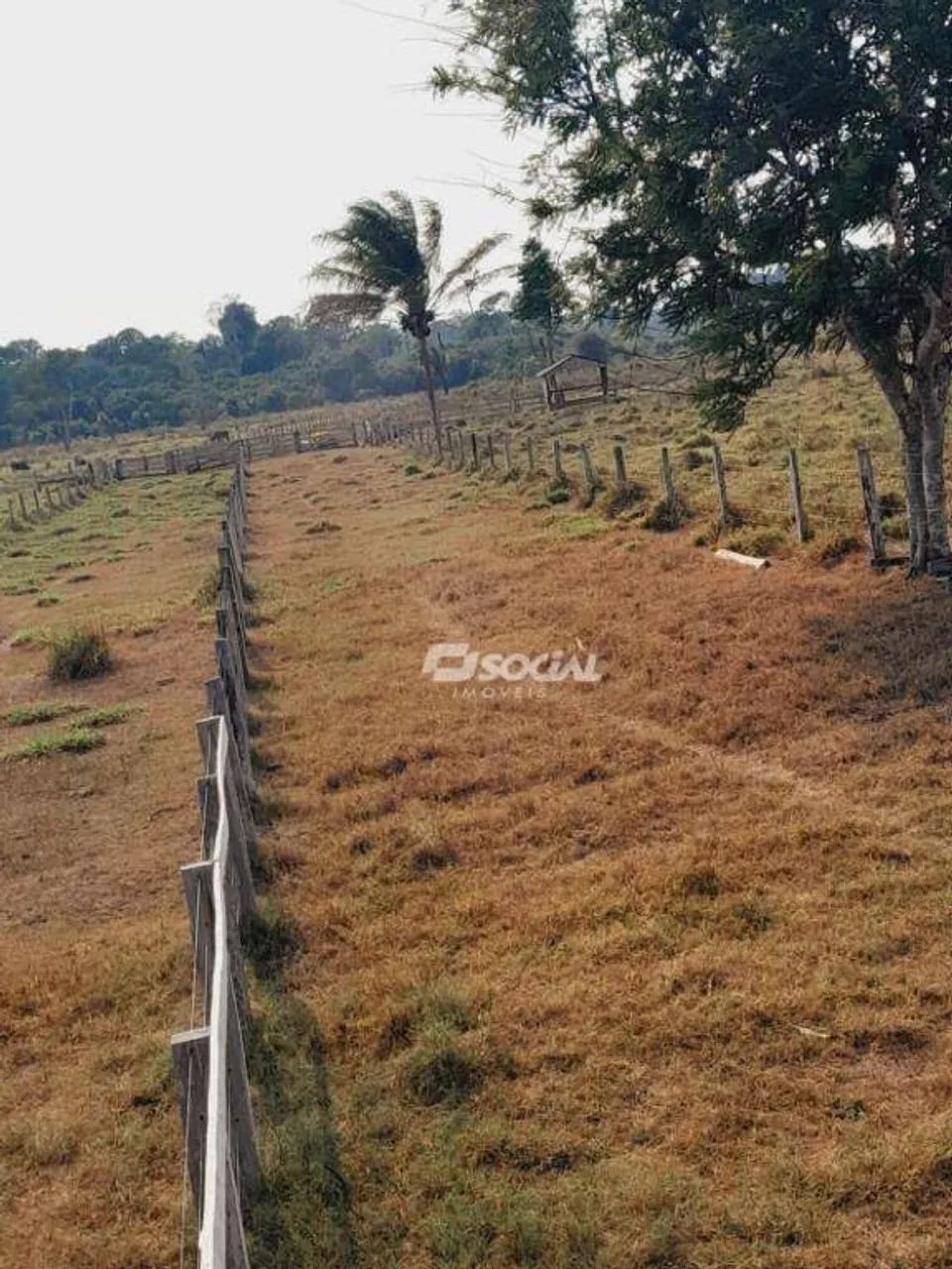 Sítio à venda, 575000 m² por R$ 900.000,00 - Área Rural de Candeias do Jamari - Candeias d - Foto 2