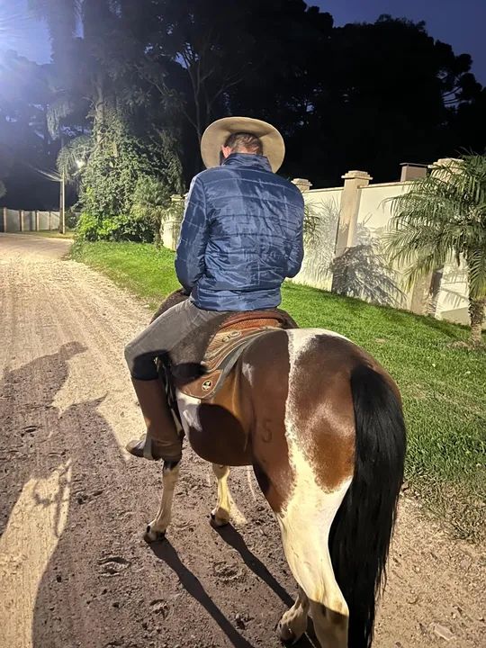 Tubiano lindo forte chama atenção por onde passa  - Foto 6
