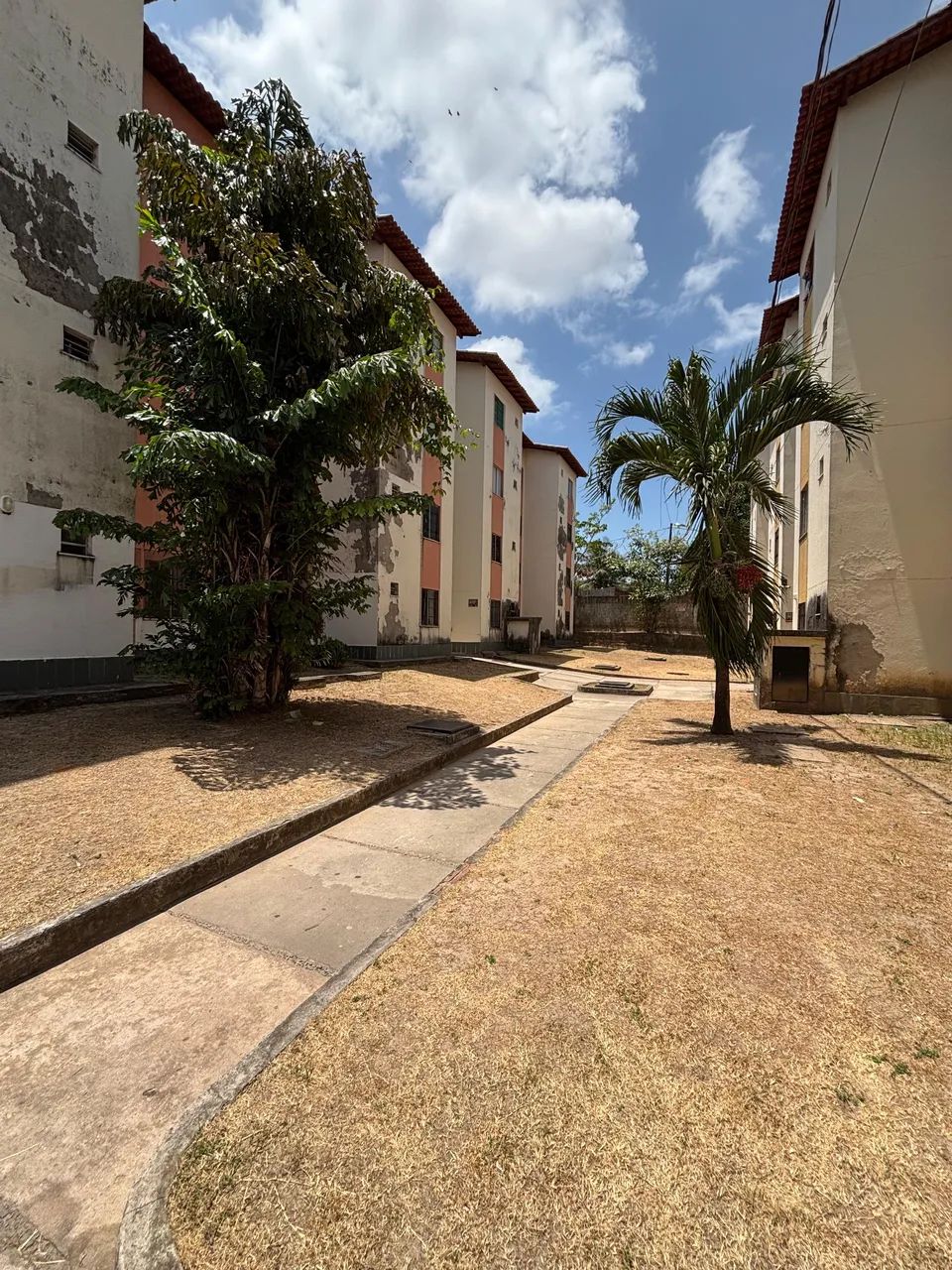 Foto - São José De Ribamar - 