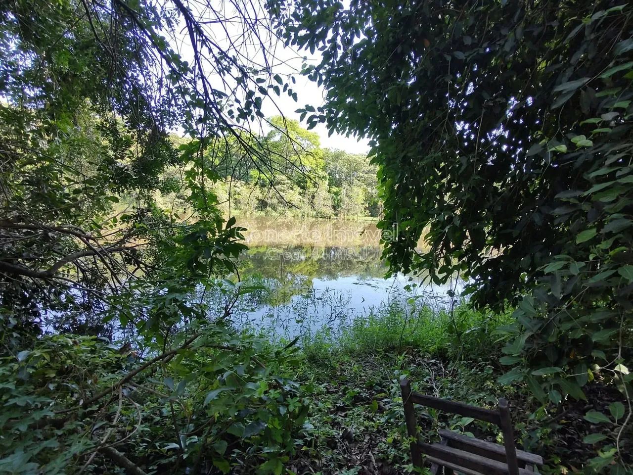 Sítio com lago no fundo, barracão e estufas à venda na Borda da Mata em Holambra/SP - Foto 2