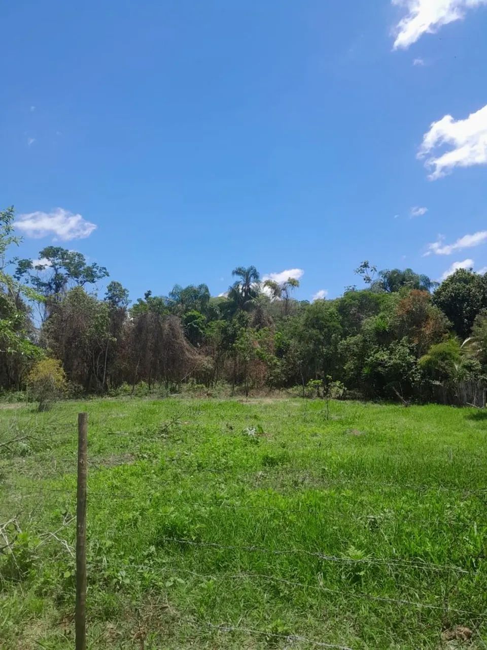 Foto - Goianá - 