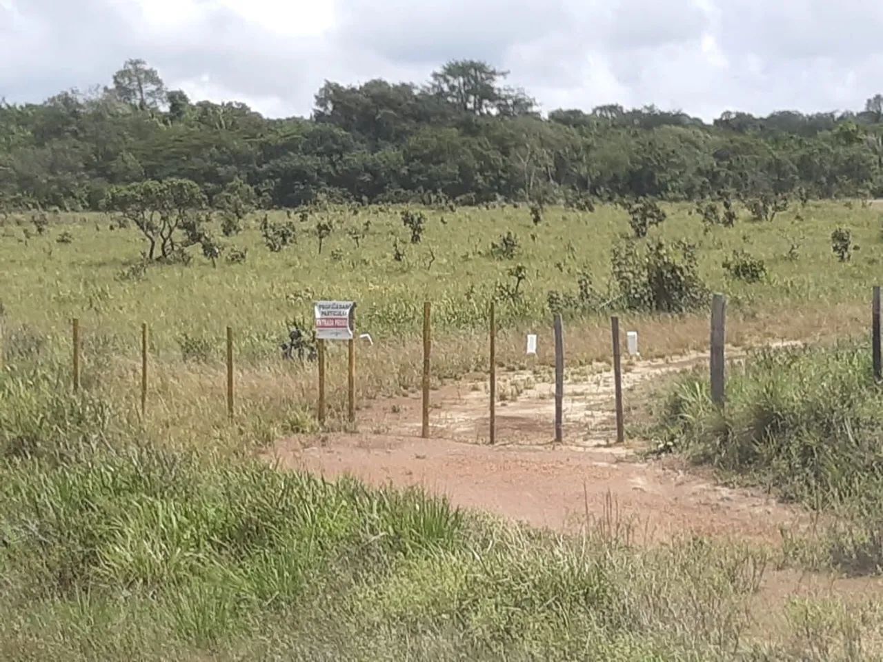 AREA DE 400HA PARA O AGRO. - Foto 3