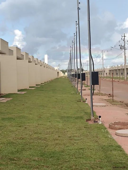 Grama esmeralda  - Foto 3