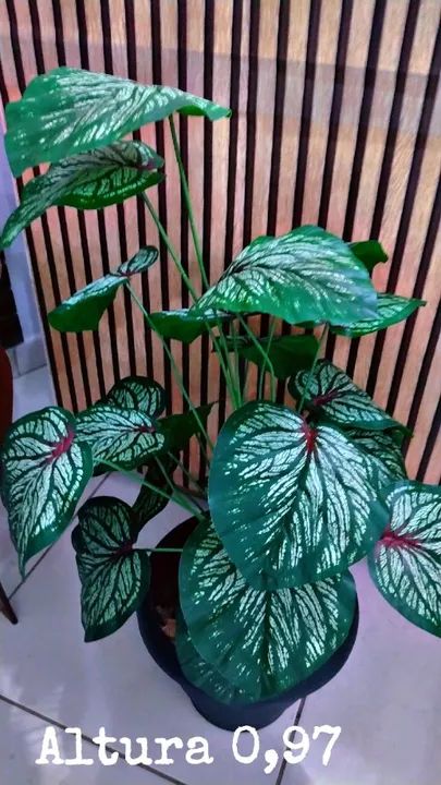 Planta giboia artificial Nova completa 99 reais  - Foto 3