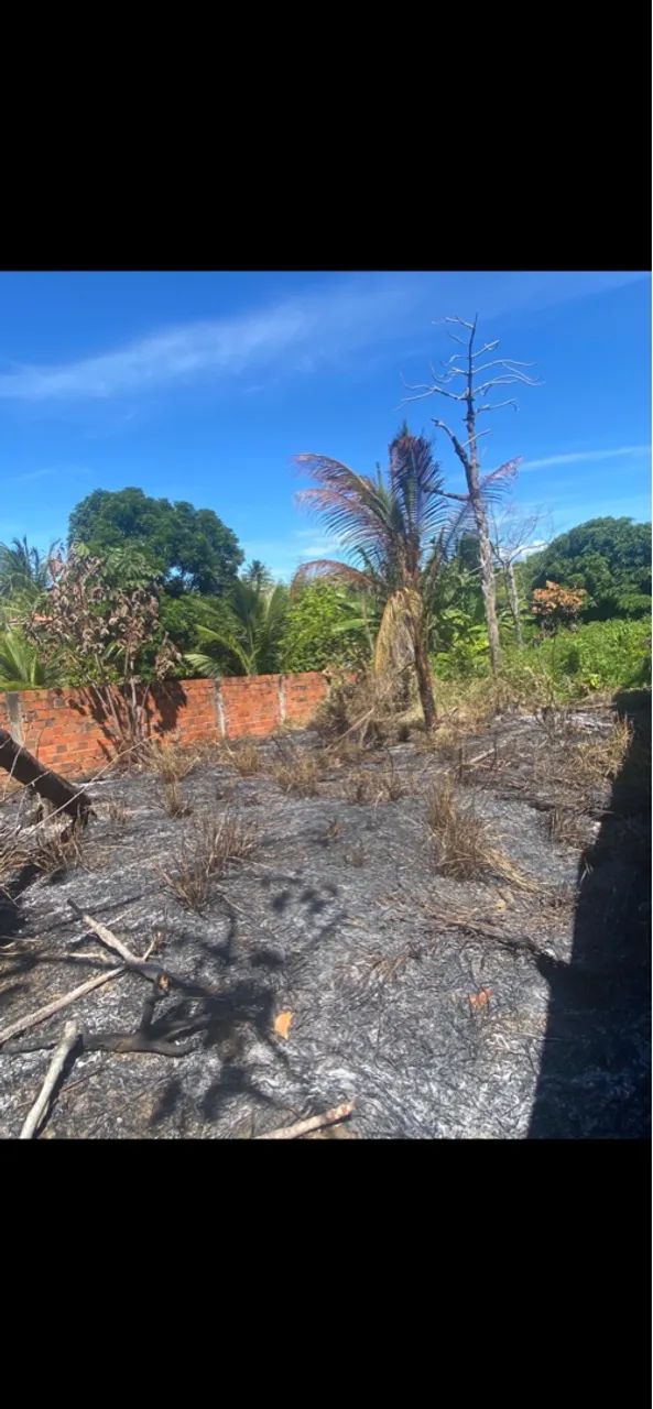 Terreno na Ilha de Vera Cruz - Foto 3